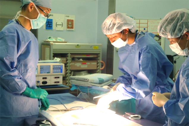 Hands-on seminar on medical care (surgery)