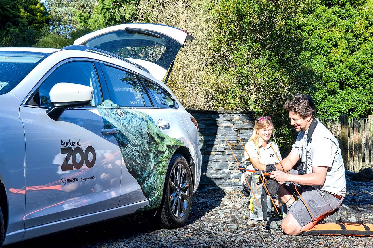 Cars with Realistic Animal Designs Support Zoo Activities