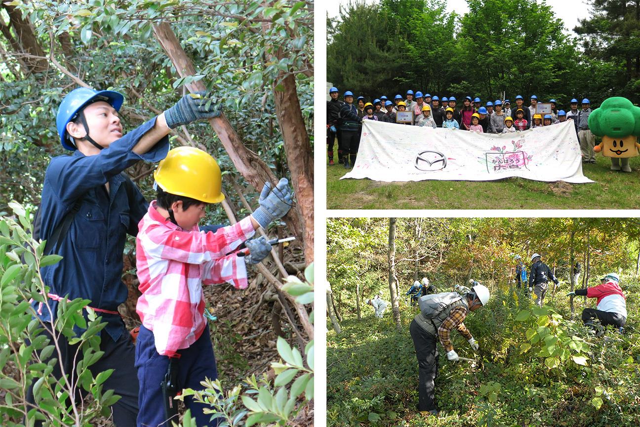 Vitalizing Forests through Clearing Brush and Felling Trees